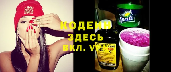 ГАЛЛЮЦИНОГЕННЫЕ ГРИБЫ Козловка