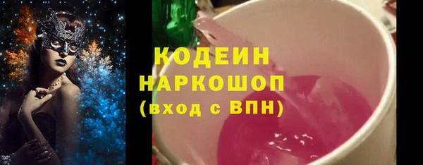 ГАЛЛЮЦИНОГЕННЫЕ ГРИБЫ Козловка
