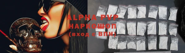 ГАЛЛЮЦИНОГЕННЫЕ ГРИБЫ Козловка