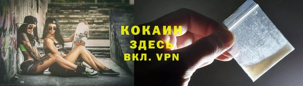 ГАЛЛЮЦИНОГЕННЫЕ ГРИБЫ Козловка