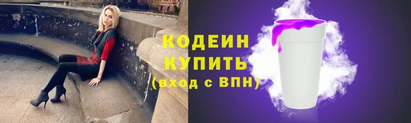 индика Новокубанск