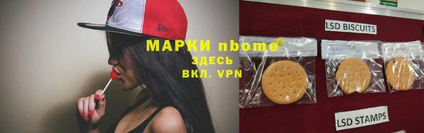 ГАЛЛЮЦИНОГЕННЫЕ ГРИБЫ Козловка