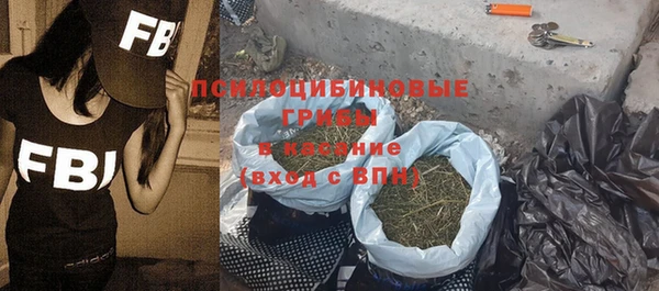 ГАЛЛЮЦИНОГЕННЫЕ ГРИБЫ Козловка