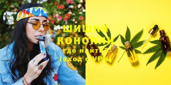 ГАЛЛЮЦИНОГЕННЫЕ ГРИБЫ Козловка