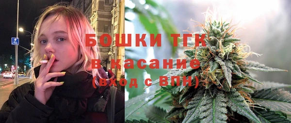 индика Волоколамск
