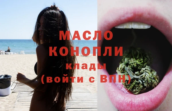 ГАЛЛЮЦИНОГЕННЫЕ ГРИБЫ Козловка