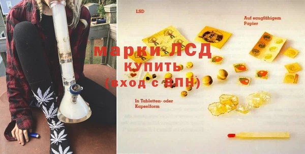 ГАЛЛЮЦИНОГЕННЫЕ ГРИБЫ Козловка