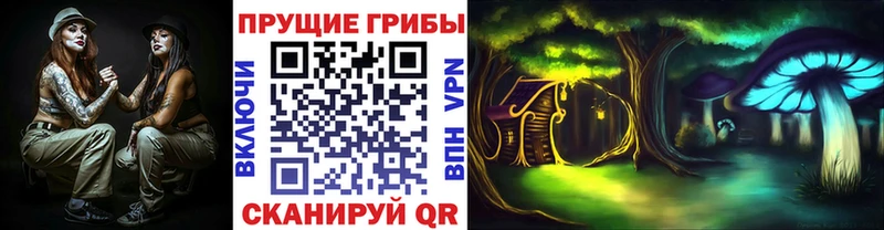 дарнет шоп  Новая Усмань  Псилоцибиновые грибы Magic Shrooms 